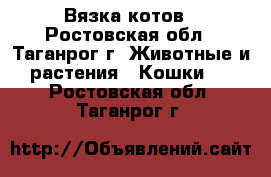 Вязка котов - Ростовская обл., Таганрог г. Животные и растения » Кошки   . Ростовская обл.,Таганрог г.